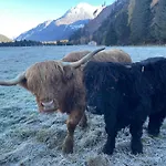 Lass Zeit Am Lech Lejlighed Bach (Tyrol)