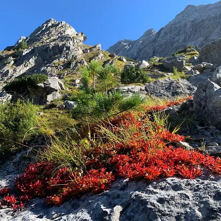 公寓 Lass Zeit Am Lech