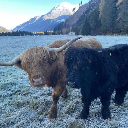 Lass Zeit Am Lech Lägenhet Bach (Tyrol)