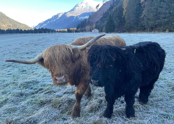 Lass Zeit Am Lech Apartmán Bach (Tyrol)