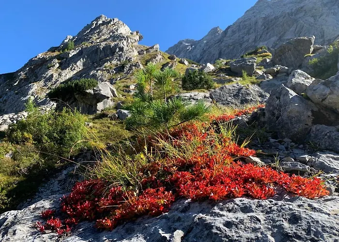 Apartamento Lass Zeit Am Lech